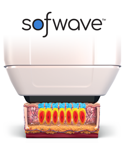 소프웨이브 장비